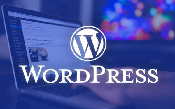 Wordpress in web designing course