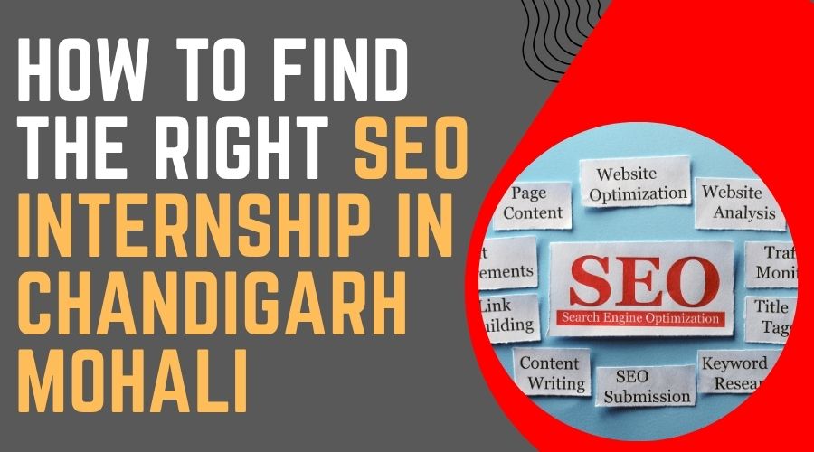 SEO Internship In Chandigarh Mohali