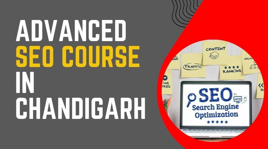 Advanced Seo Course in Chandigarh