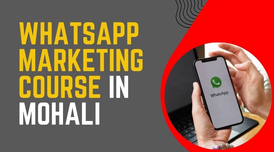 Best WhatsApp Marketing Course in Mohali
