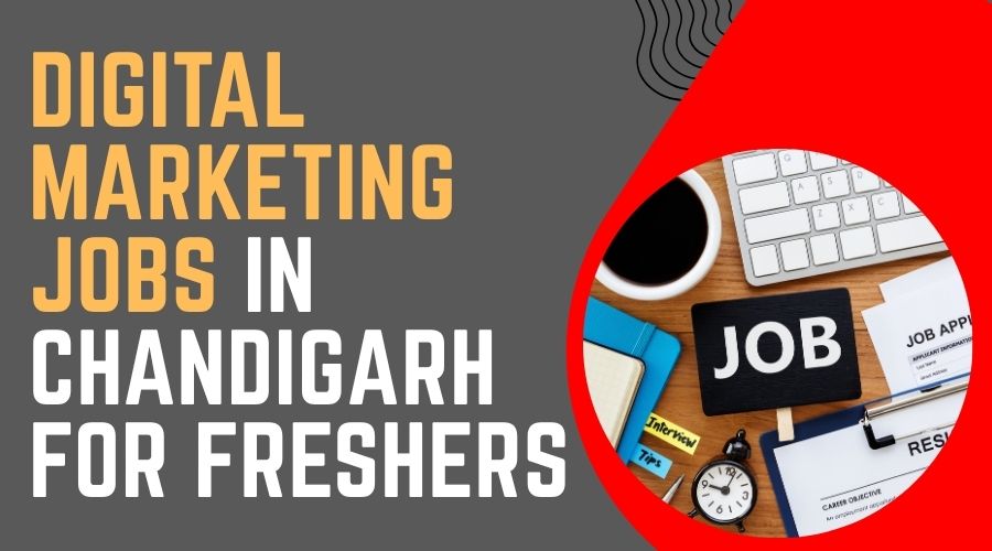 Digital Marketing Jobs in Chandigarh for Freshers