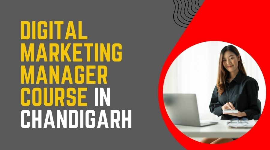Digital Marketing Manager Course in Chandigarh 