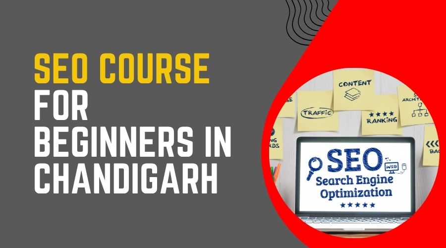 SEO Course for Beginners in Chandigarh