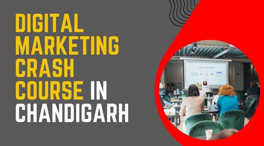 Digital Marketing Crash Course in Chandigarh
