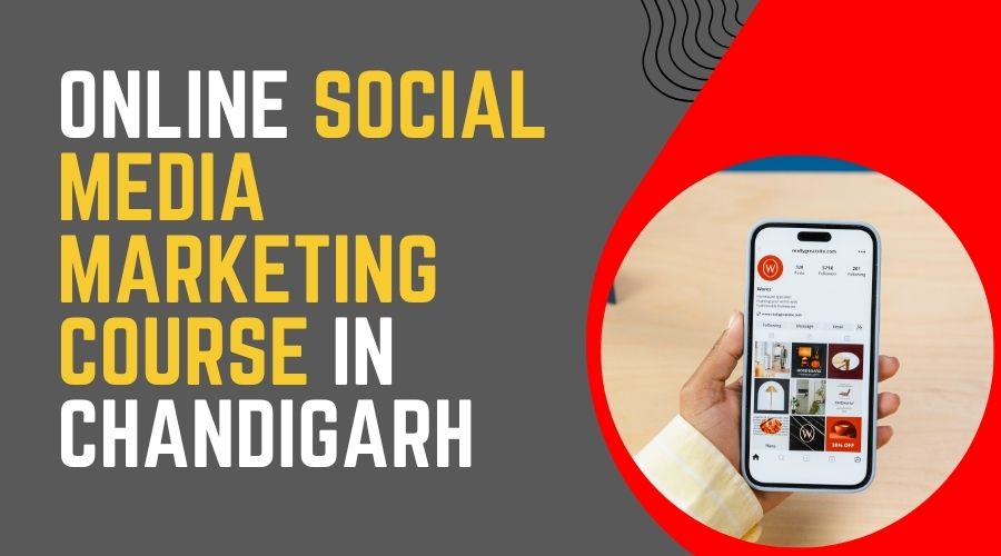 Online Social Media Marketing Course in Chandigarh