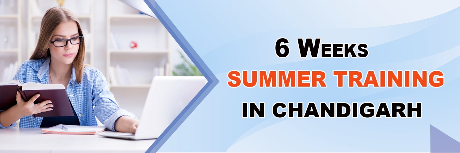 6 Weeks Summer Training in Chandigarh