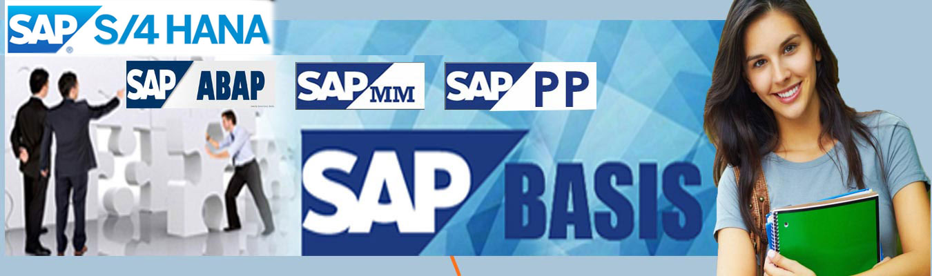 SAP Training Course in Chandigarh Mohali Panchkula