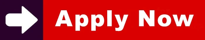 Offline/ Online Live Winter Internship 