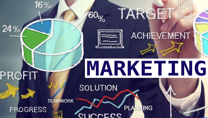 Marketing Training Internship in Chandigarh