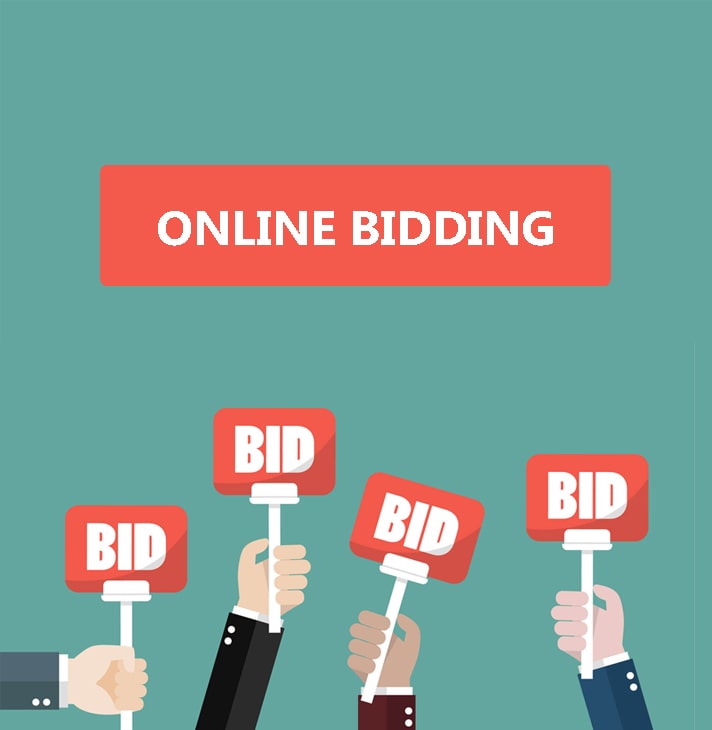 Online Bidding Freelancing Training in Chandigarch Mohali Mohali Panchkula