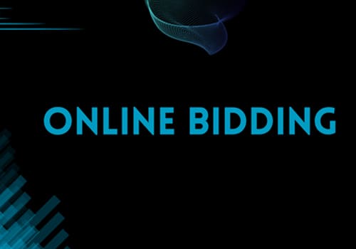 Online Bidding (Freelancing)