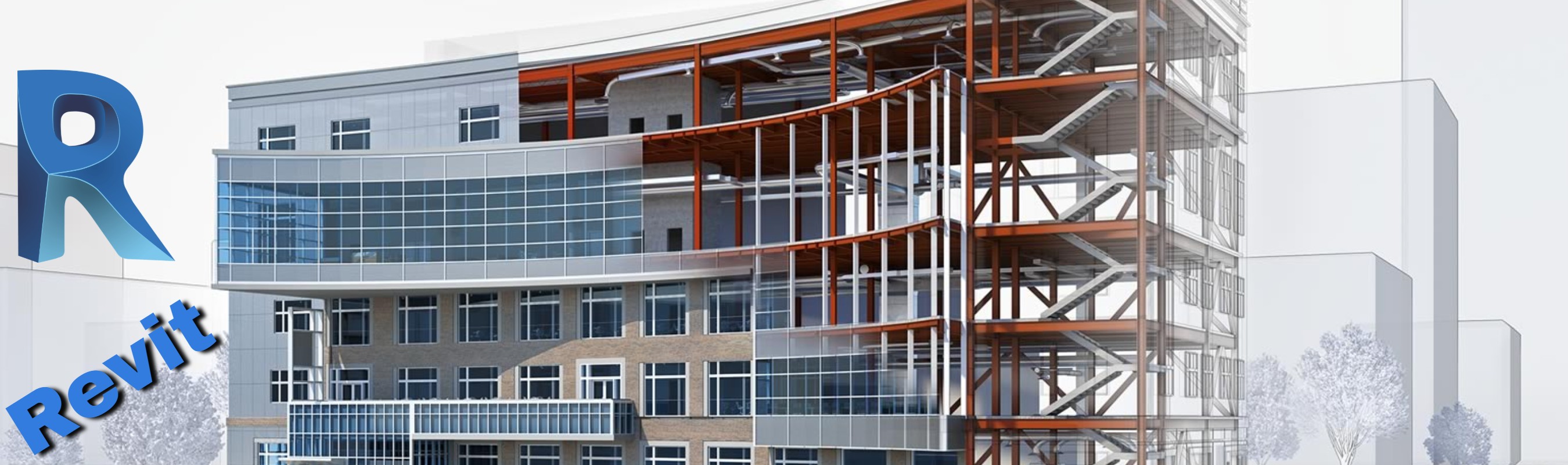 Phd dissertation picture