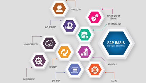 Sap Basis Training in Chandigarh