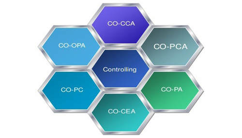 Sap Co Training in Chandigarh