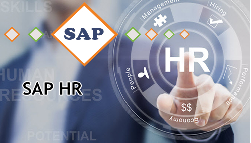 Sap HR Training in Chandigarh