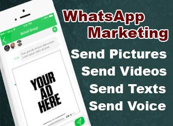 WhatsApp Marketing training in Zirakpur