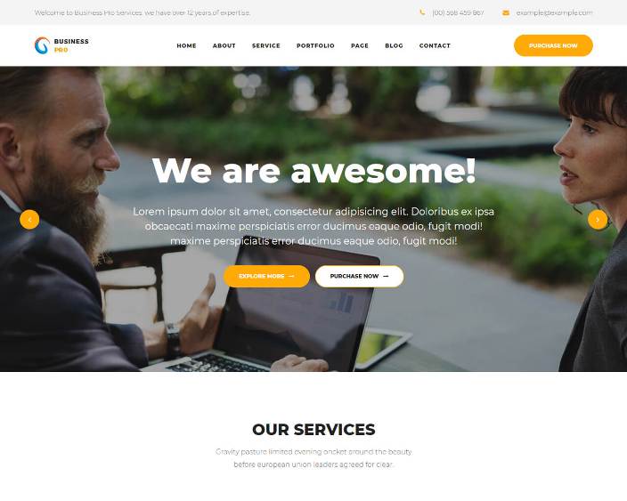 Web Designing Course